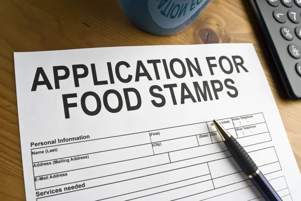 food stamp application status
